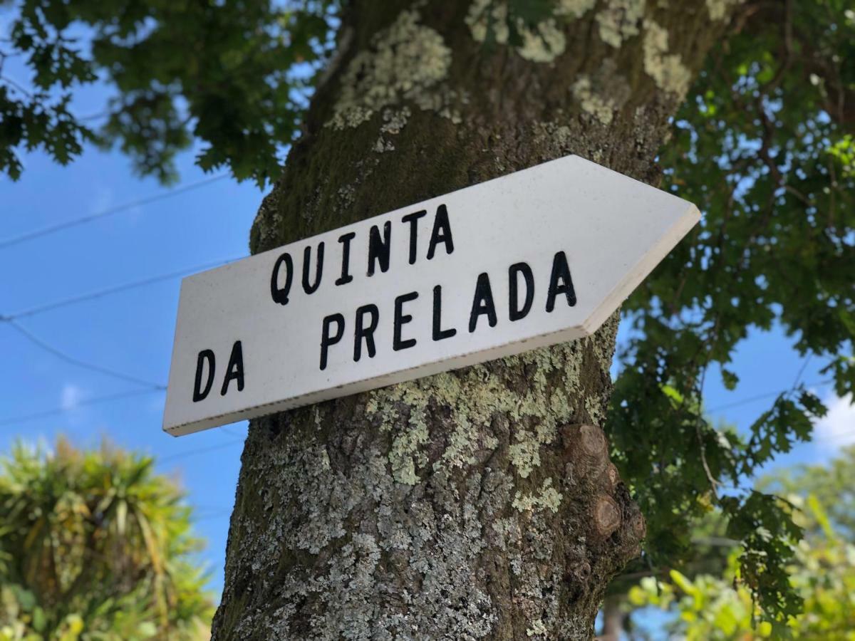 Casa Da Quinta Da Prelada Simao Partie Basse Villa Celorico De Basto Ngoại thất bức ảnh